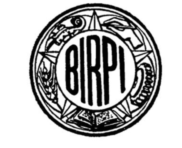 CREACIÓN DE LAS BIRPI