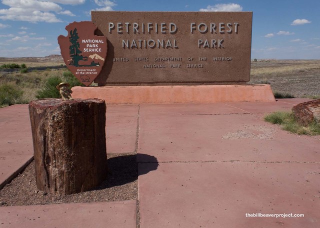 Petrified Forest National Monument was created by President Theodore Roosevelt