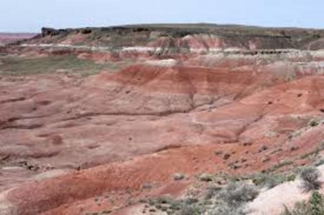 More land was added to Petrified Forest.