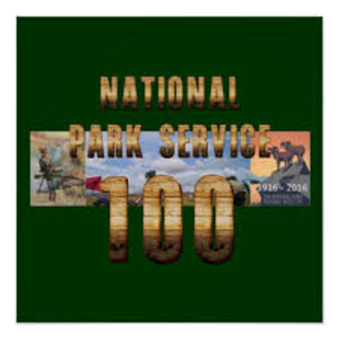 Petrified Forest Is celebrated.