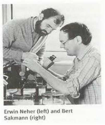 premio novel de medicina