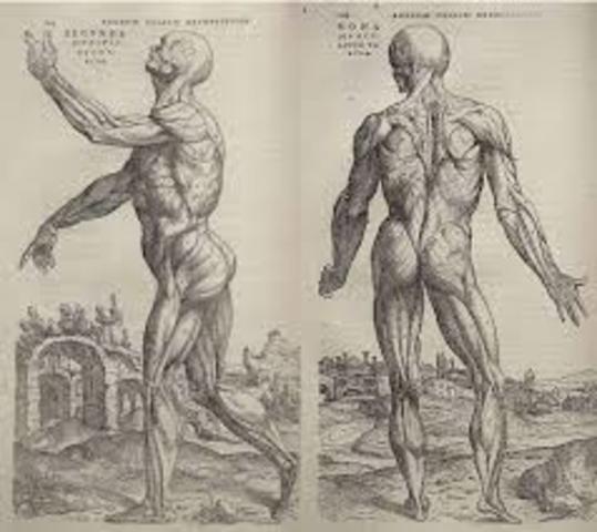 andreas vesalio publico de humanicorporis