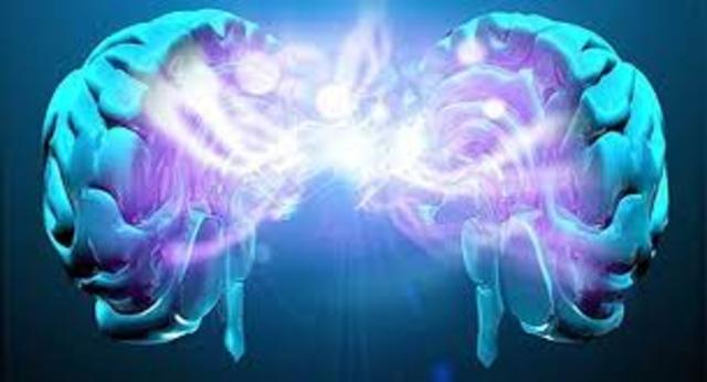 evidencia del cerebro y la electricidad