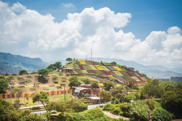 ¡A sobrevivir solos!