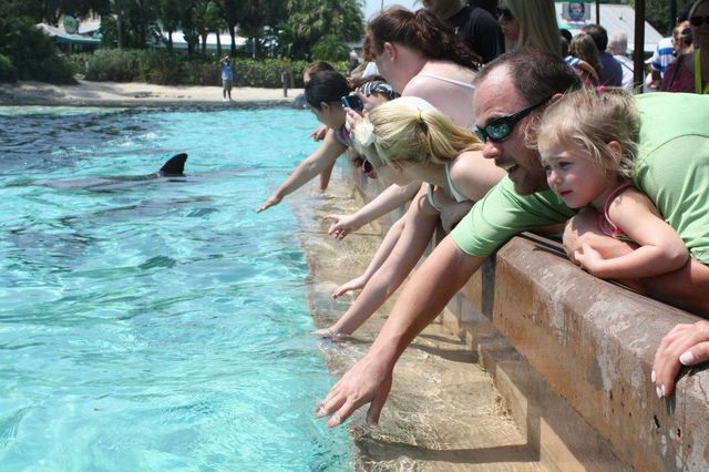 Let's Go to Sea World They Said....