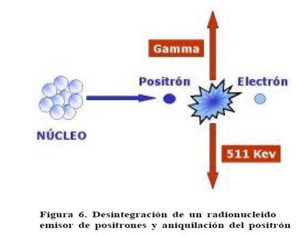 Aniquilación de positrones.