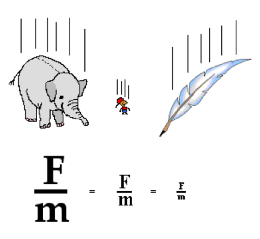 La Ley de los Cuerpos que Caen