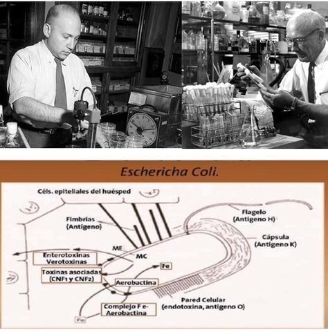Joshua Lederberg y Edward Lawrie Tatum