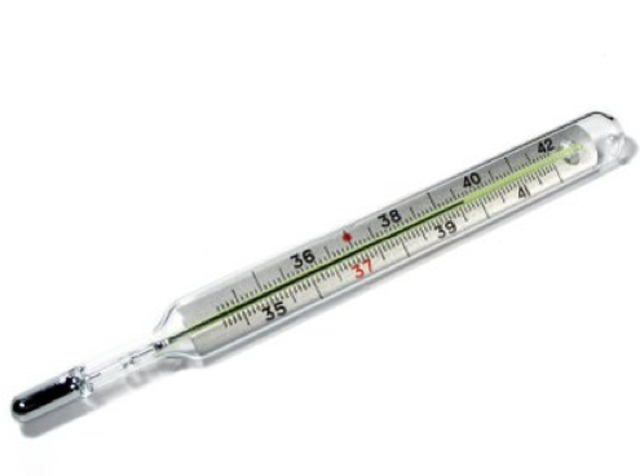 El termómetro de mercurio con bulbo