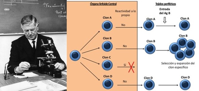 Frank Macfarlane Burnet