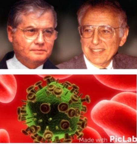 Luc Montagnier y Robert Gallo