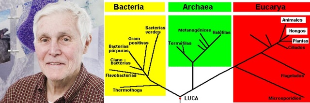 Carl Woese y Gary Oslen