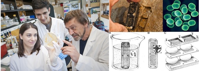 Slava Epstein y sus colaboradores