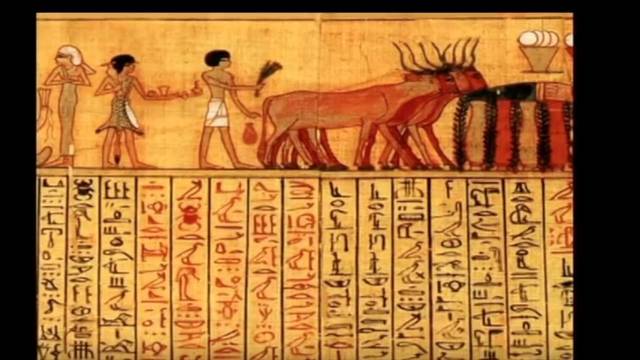 Comunicacion en piedras