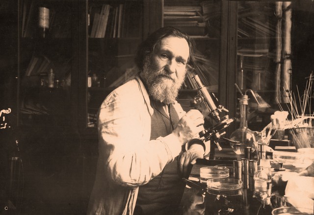 Michel Elie Metchnikoff