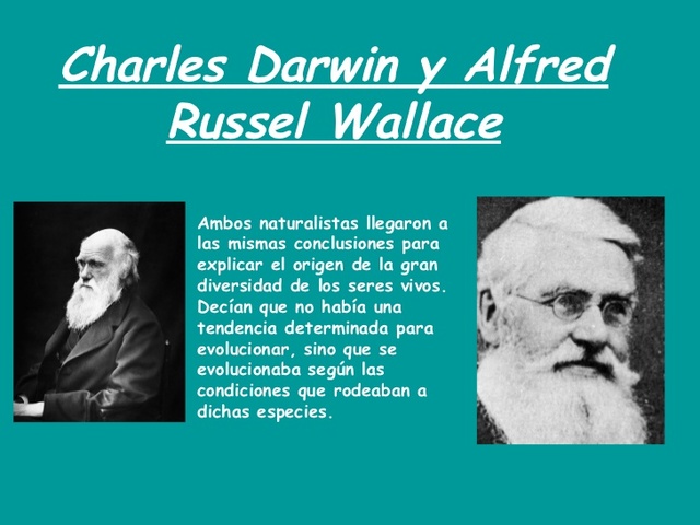 Debate sobre que teoria es cierta, la de Darwin o la de Wallace.