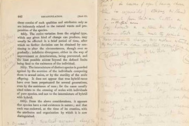 Darwin ya había completado su tercer libro sobre geología