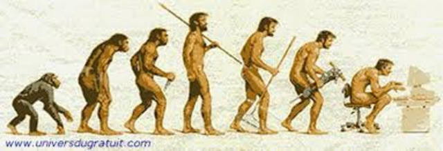 PERIODOS TECNOLÓGICOS