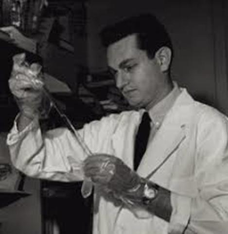 ARBER  NIREMBRG , OCHOA Y KHORANA