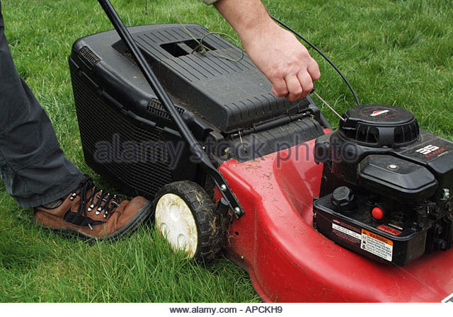 Lawn Mower with a Gasoline Engine