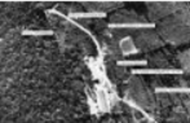 Cuban Missile Crisis