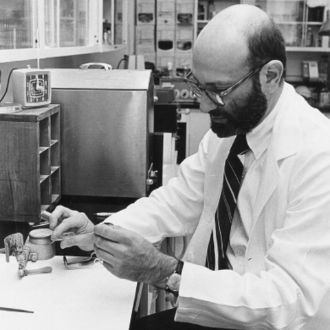 Stanley Norman Cohen