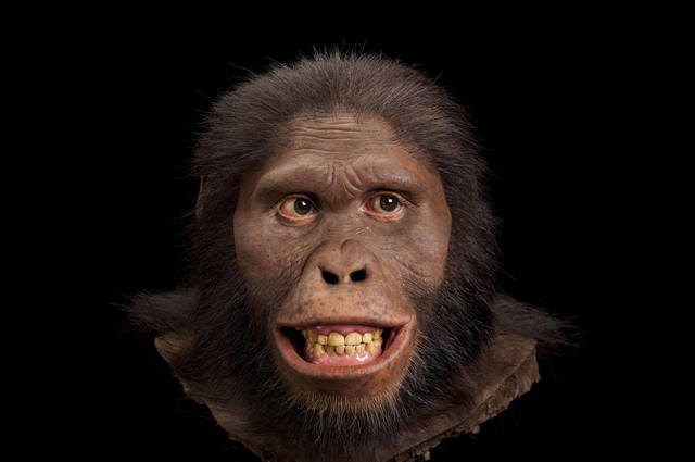 AUSTROLOPITHECUS AFERENSIS
