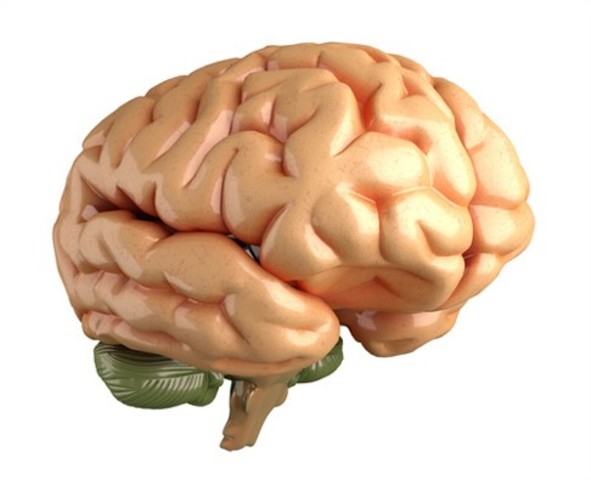 Galeno-(130-200 A.C)