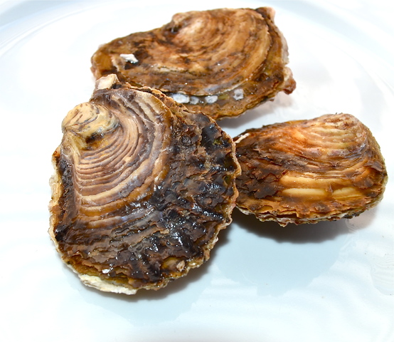 Presentación de un nuevo descubrimiento