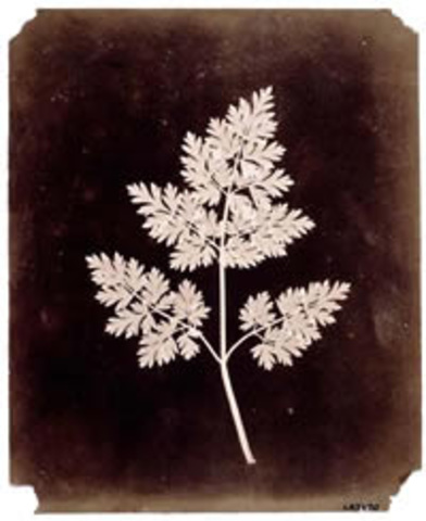 1839 William Henry Fox Talbot