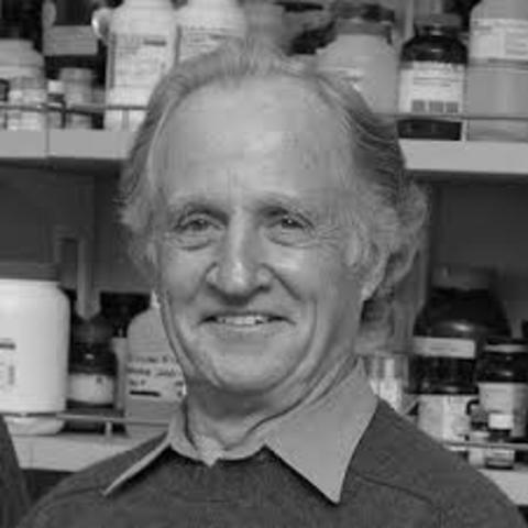 Mario capecchi (2007)