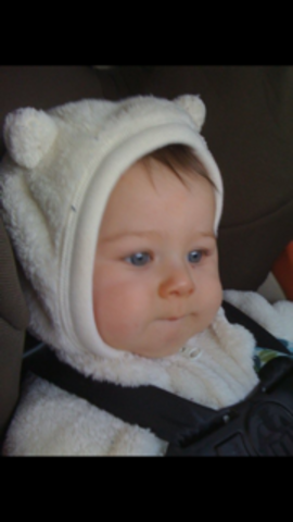 When I had so much fun at Sea World