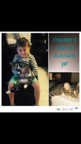 Freedom was so fluffy, she was so cozy