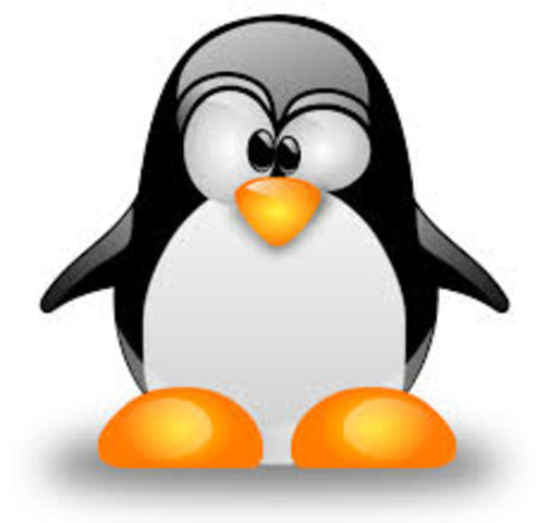 definiccion de linux