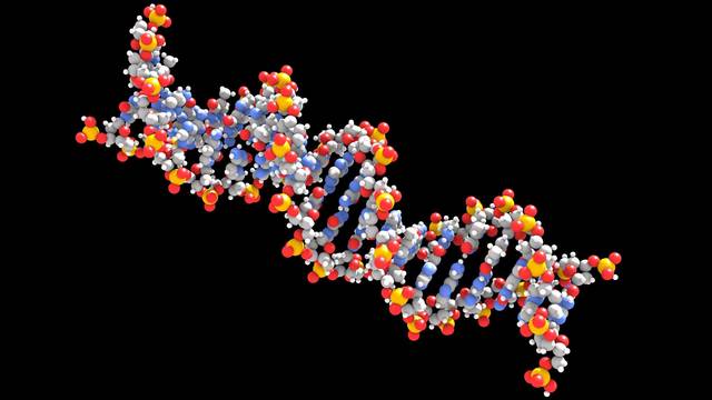 James Watson y Francis Crick