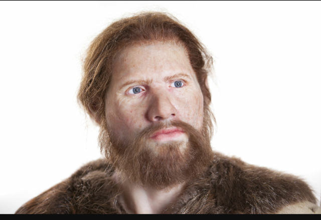 Homo Sapiens Sapiens