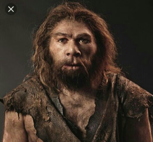 Homo Neanderthalensis