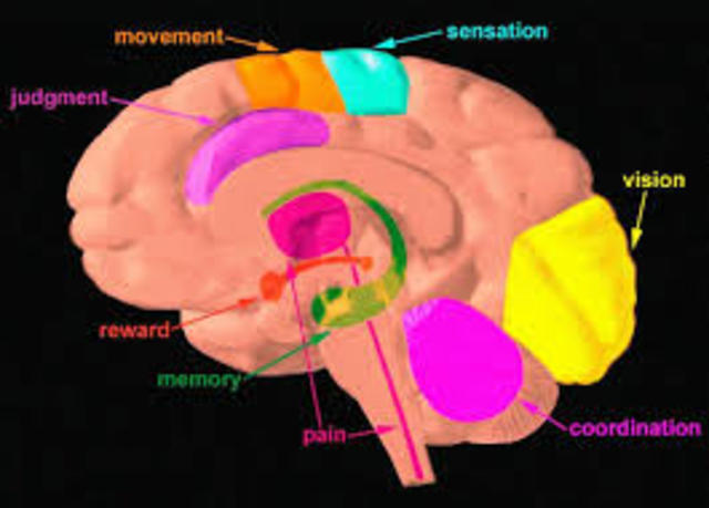 Psicología Fisiológica