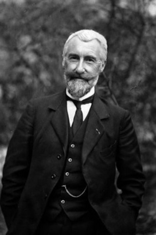 Estudios con ratones