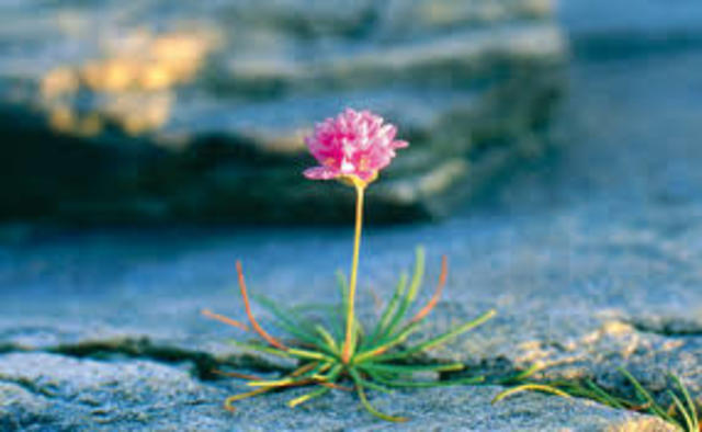 Book Sixteen (part 3)