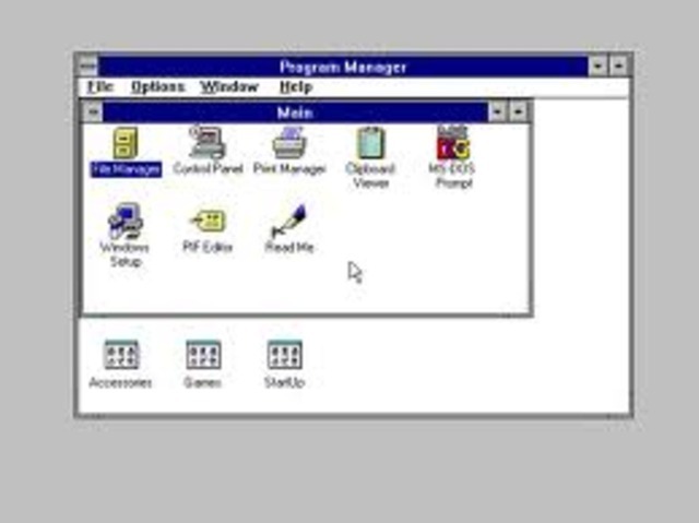 WINDOWS 3X