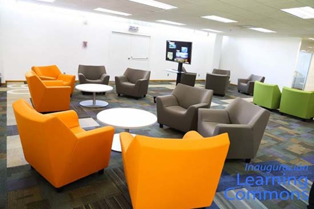 AYUDANTÍA EN BIBLIOTECA