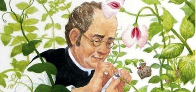 Gregor Mendel