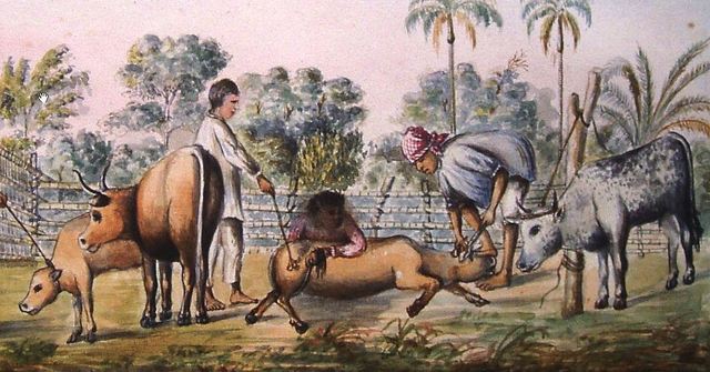 Referencia a las estancias de ganado - Economía de la península colonial