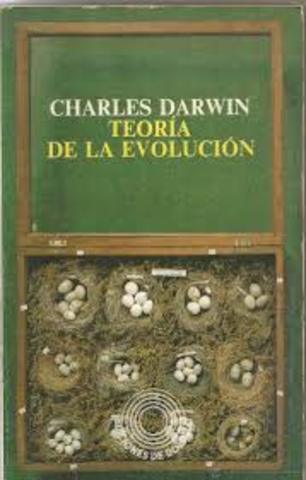 Teoria de la seleccion