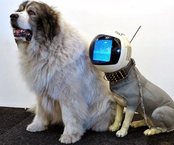 Animales virtuales con mentes digitales