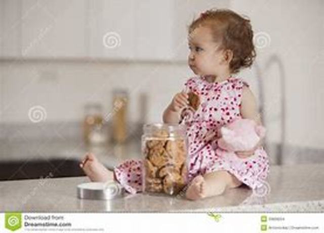 Cognitive Development