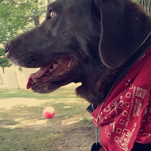 Something that defines me