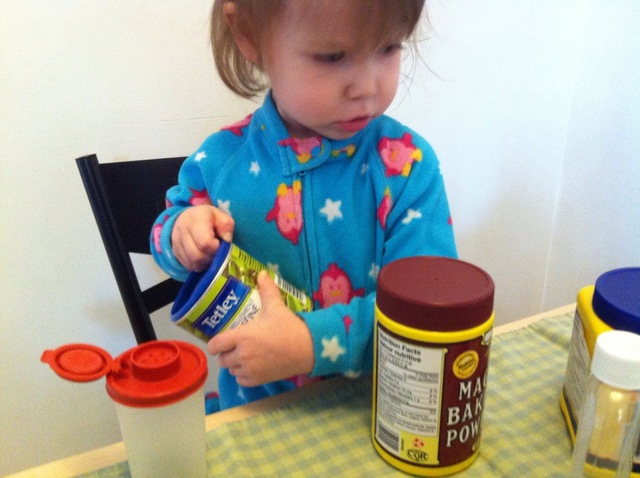 Cognitive Development