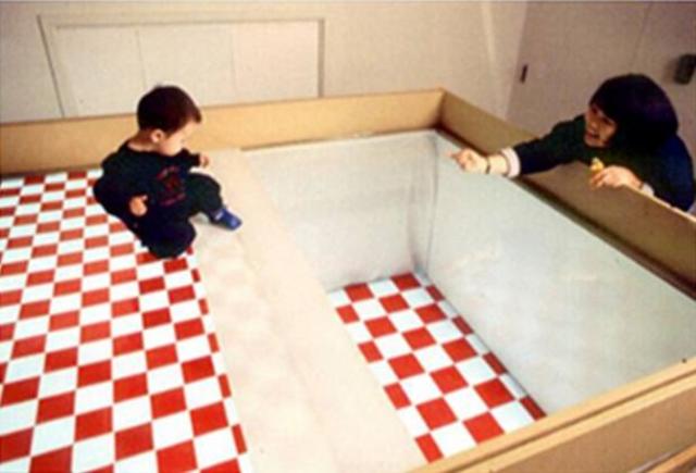 9 month social and emotional